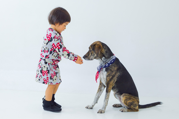 スタジオ撮影プラン